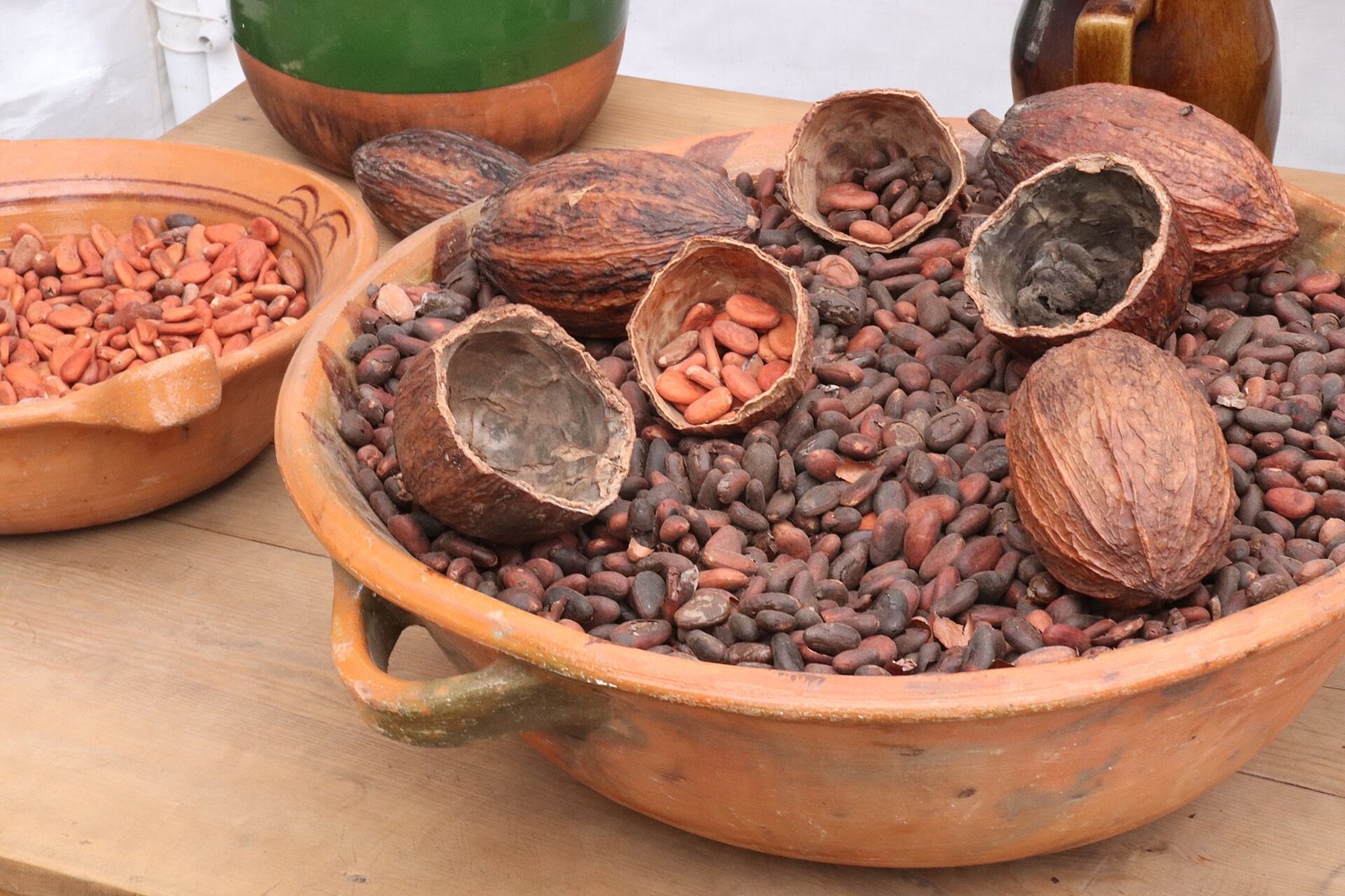 Cocoa Beans sourced in Nigeria for export